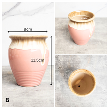 Load image into Gallery viewer, Petit Allegra Flowerpots (Series 3) Pink Pots