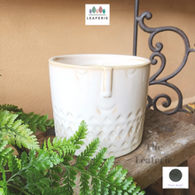 Load image into Gallery viewer, Lennon Flowerpot