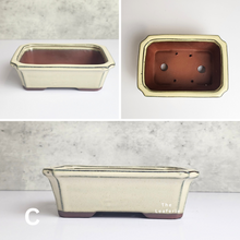 Load image into Gallery viewer, The Leaferie Petit Bonsai Series 4 . 3 colours rectangular  bonsai planter. Front view of all designs C