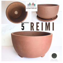 Load image into Gallery viewer, Reimi Bonsai Flowerpot (Series 5)