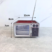 Load image into Gallery viewer, Retro TV Flowerpot