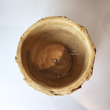 Load image into Gallery viewer, The Leaferie Parker cement pot with rattan rope.