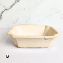 Load image into Gallery viewer, The Leaferie Bonsai Tally Series 11. 3 colours (Green, white and light blue ceramic material)