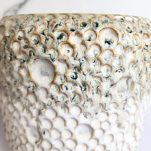 Load image into Gallery viewer, The Leaferie Gallagher crater pot.