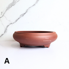 Load image into Gallery viewer, Bonsai Flowerpot (Series 49)
