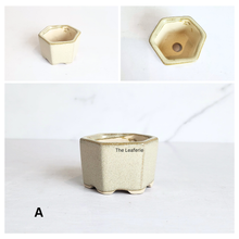 Load image into Gallery viewer, The Leaferie Bonsai pot series 81. hexagon ceramic pot. 5 colours