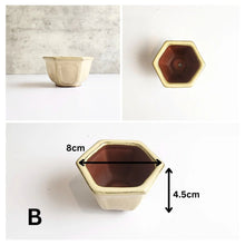 Load image into Gallery viewer, Petit Bonsai Flowerpot (Series 3) Beige Theme