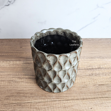 Load image into Gallery viewer, The Leaferie Rania tall grey pot. ceramic material