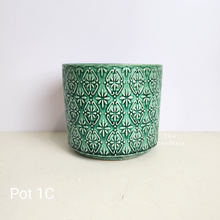 Load image into Gallery viewer, As-Is Pots Batch October 2023 (13 items)