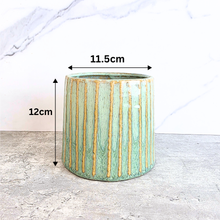 Load image into Gallery viewer, Leonid Flowerpot