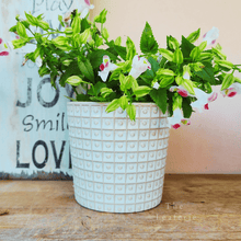 Load image into Gallery viewer, Patrice Pot