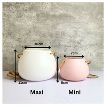 Load image into Gallery viewer, Lyon Hanging Flowerpot (Series 13) 3 Colors