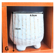 Load image into Gallery viewer, Petit Flowerpots (Series 2)