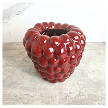 Load image into Gallery viewer, The Leaferie Riora red grape flowerpot