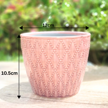 Load image into Gallery viewer, Thelon Flowerpot