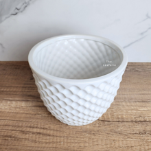 Load image into Gallery viewer, The Leaferie Maeve white ceramic pot