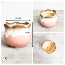 Load image into Gallery viewer, Petit Allegra Flowerpots (Series 3) Pink Pots