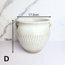 Load image into Gallery viewer, The Leaferie Anya Big pot ($ designs ceramic material