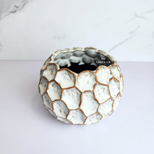Load image into Gallery viewer, The Leaferie Deion Flowerpot. 2 colours black and white ceramic pot