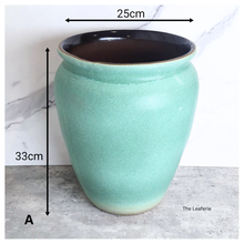 Load image into Gallery viewer, The leaferies Aures tall pot series 3 . 2 colours ceramic pot
