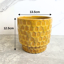 Load image into Gallery viewer, Polie Flowerpot