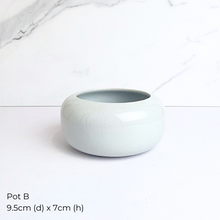 Load image into Gallery viewer, The Leaferie AS-IS Jan 25 . 9 new flowerpots