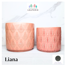 Load image into Gallery viewer, Liana Flowerpot