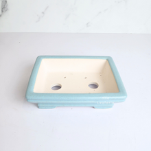 Load image into Gallery viewer, The Leaferie Petit bonsai series 47. 3 colours rectangular bonsai pot