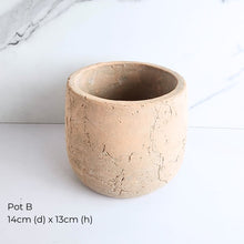 Load image into Gallery viewer, The Leaferie As-is Pot June 2025. 9 items