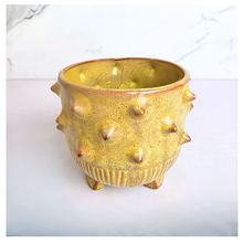 Load image into Gallery viewer, The Leaferie Nico yellow ceramic flowerpot