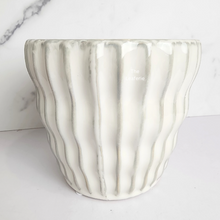 Load image into Gallery viewer, The Leaferie Quin White ceramic pot