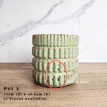 Load image into Gallery viewer, The Leaferie AS-IS Pots December 23.. Pot 2