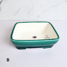 Load image into Gallery viewer, The Leaferie Bonsai series 66 . Rectangular ceramic pot. blue and green colour