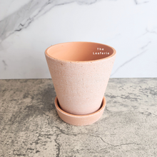 Load image into Gallery viewer, The Leaferie Yael terracotta pot with tray. 3 sizes