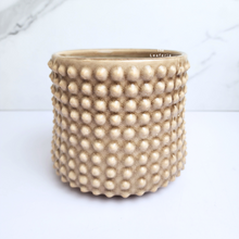 Load image into Gallery viewer, The Leaferie Bronwyn studded beige flowerpot. ceramic material