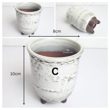 Load image into Gallery viewer, Petit Flowerpots (Series 14)