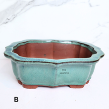 Load image into Gallery viewer, The Leaferie Bonsai flowerpot Series 70 . 2 colours blue and green ceramic material