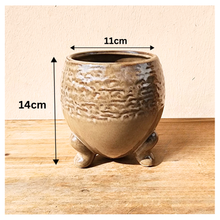 Load image into Gallery viewer, Francoise Flowerpot
