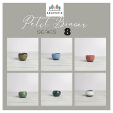 Load image into Gallery viewer, Petit Bonsai Pot (Series 8)