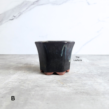 Load image into Gallery viewer, The Leaferie Petit Bonsai pots 76.. Hexagon shape a=with 4 colours.