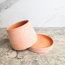 Load image into Gallery viewer, The Leaferie Ylva terracotta pot with tray