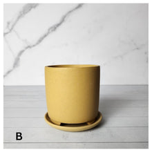 Load image into Gallery viewer, Noemie Mini Flowerpot (Series 1)