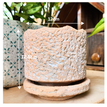 Load image into Gallery viewer, Yonina Flowerpot