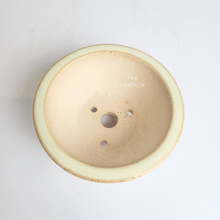 Load image into Gallery viewer, The Leaferie Petit bonsai series 46. 3 colours bonsai pots