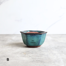 Load image into Gallery viewer, The Leaferie Bonsai 79. Hexagon shape 4 colours ceramic pot
