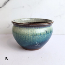 Load image into Gallery viewer, The Leaferie Aubrey shallow pot 2 designs ceramic pot