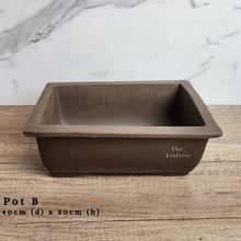 Load image into Gallery viewer, The Leaferie As-is Sale March 24. Pot B