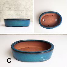 Load image into Gallery viewer, The Leaferie Petit Bonsai Series 14 . oval bonsai pot. 3 colours. ceramic . photo of design C