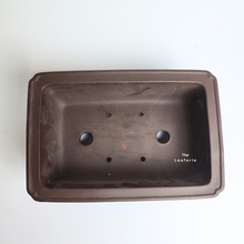 Load image into Gallery viewer, The Leaferie Bonsai Tally Rectangular series 6 flowerpot