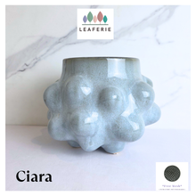 Load image into Gallery viewer, Ciara Flowerpot (2 Sizes)